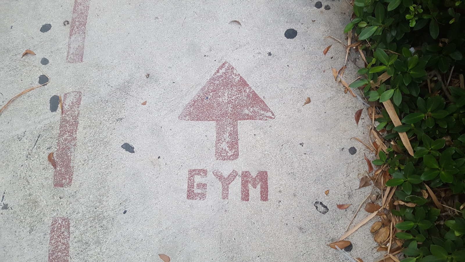 gym road signage