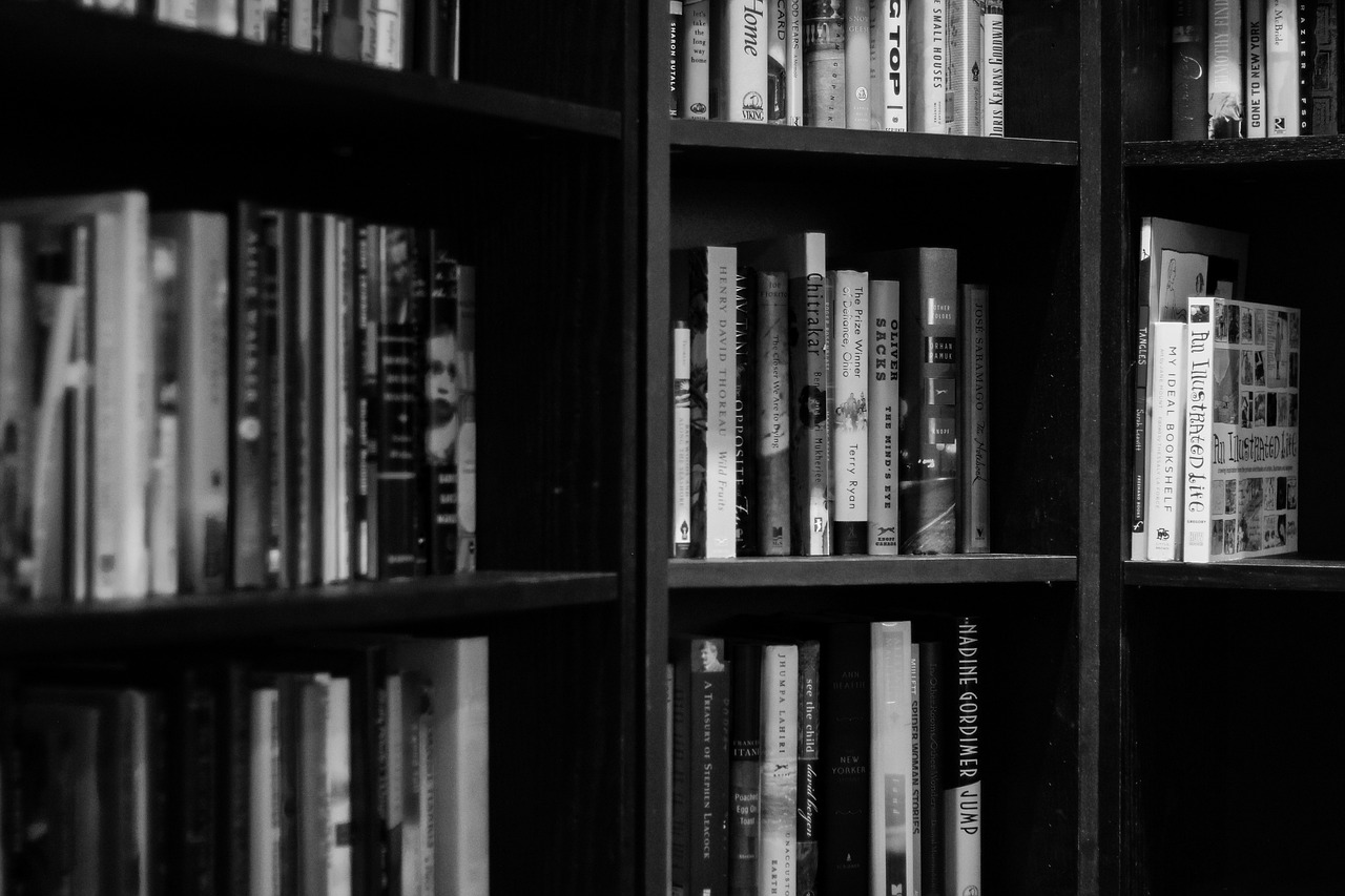bookshelves, library, books